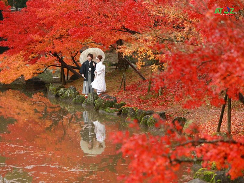 Những địa điểm không thể bỏ qua khi đến Nhật Bản vào mùa thu