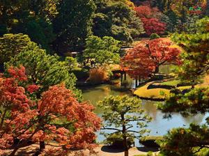 Những địa điểm Không thể bỏ qua khi đến Nhật Bản mùa thu