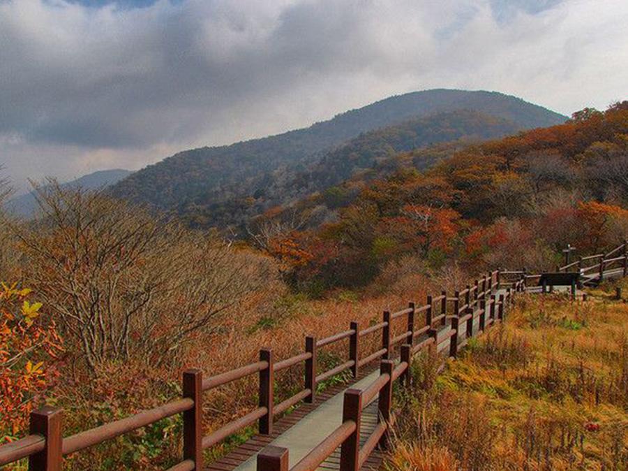 Nhớ mãi kí ức tuyệt đẹp “Busan mùa thu năm ấy”