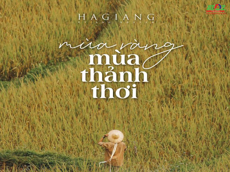 Review Hà Giang mùa lúa chín, chàng photographer khiến dân tình mê như điếu đổ