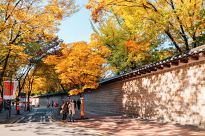 Thành phố Seoul, Hàn Quốc mùa thu
