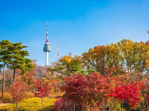 Thuê hanbok ở Hàn Quốc cần lưu ý điều gì?