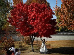 Thuê hanbok ở Hàn Quốc cần lưu ý điều gì?