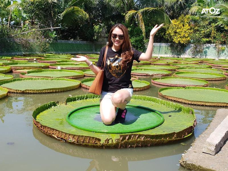 Đứng trên lá sen ở ngôi chùa trăm năm tuổi Đồng Tháp