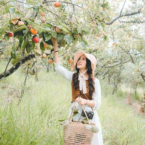 Đến ngay vườn hồng mộng mơ vào cổng miễn phí ở Đà Lạt