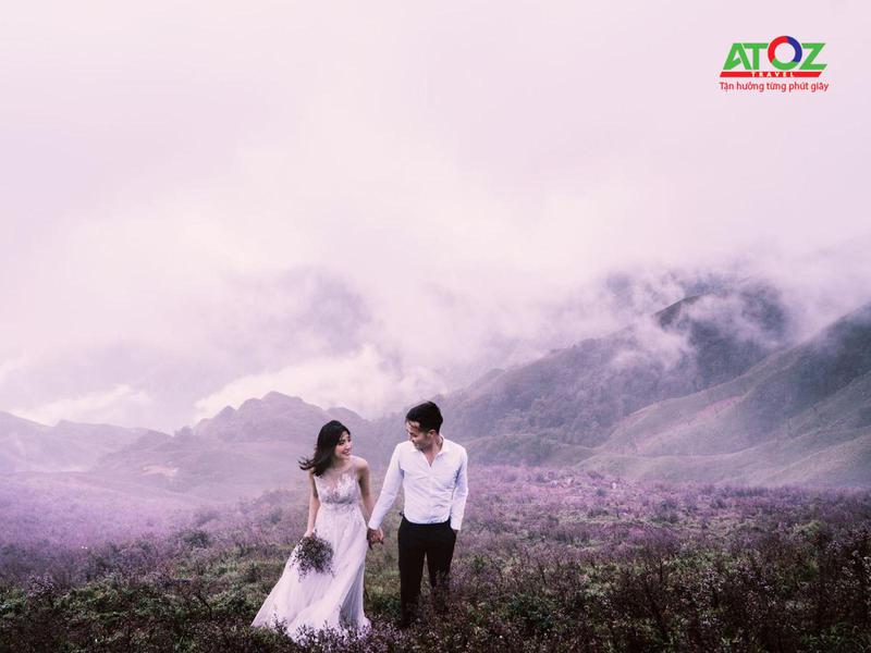 Rủ nhau đến Tà Chì Nhù ngắm hoa Chi Pâu đẹp thơ mộng vào tháng 11 này nhé