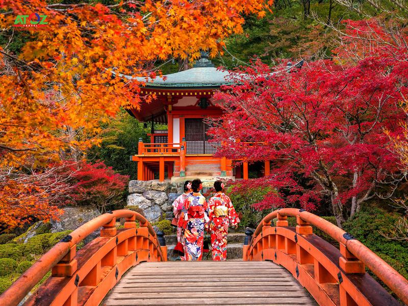 Tour Nhật Bản cung đường vàng mùa thu 2019: TOKYO  – YAMANASHI – TOYOHASHI – KYOTO – OSAKA