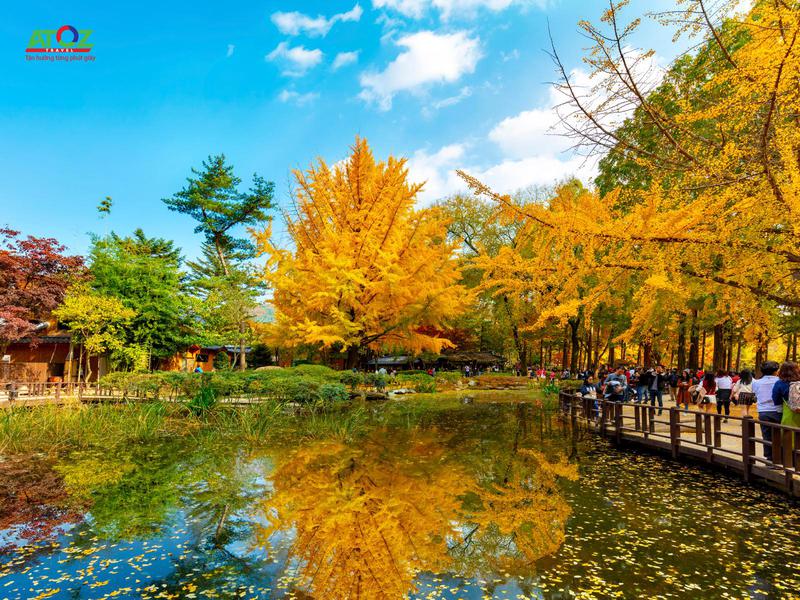 Tour Hàn Quốc mùa thu 2019: Seoul – Đảo Nami – Công viên Everland
