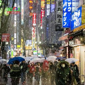 Bộ ảnh phố Nhật về đêm đầy “ảo diệu” đang gây sốt cộng đồng mạng