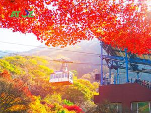 Tour Hàn Quốc mùa thu tuyến đặc biệt 2019: Núi Seoraksan – Đảo Nami – Seoul