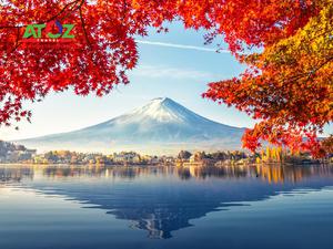 Tour Nhật Bản mùa thu: TOKYO – YAMANASHI