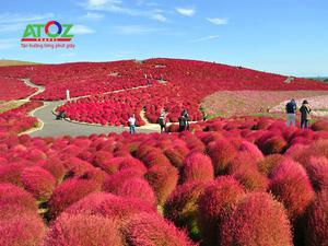 Tour Nhật Bản mùa thu: TOKYO – YAMANASHI