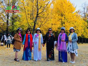 Tour Hàn Quốc mùa thu tuyến đặc biệt 2019: Núi Seoraksan – Đảo Nami – Seoul