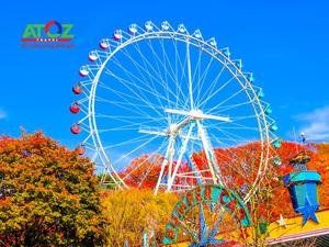 Tour Hàn Quốc mùa thu 2019: Seoul – Đảo Nami – Công viên Everland