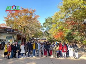 Tour Hàn Quốc mùa thu 2019: Seoul – Đảo Nami – Công viên Everland