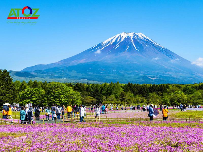 Tour Nhật Bản lễ 30/4/2020: Cung Đường Vàng Hoa Tử Đằng – Lễ Hội Hoa Chi Anh