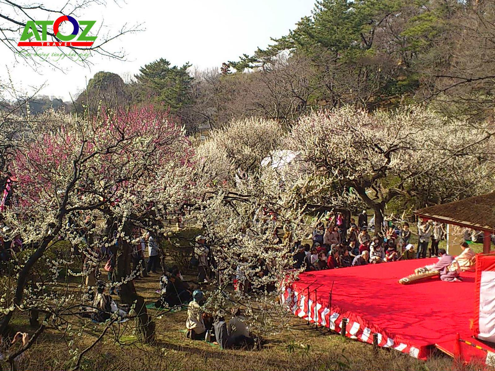 Những tọa độ ngắm hoa mơ đẹp nhất Tokyo Nhật Bản