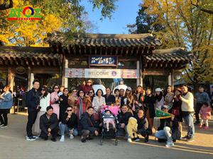 Tour Hàn Quốc mùa hoa anh đào: Seoul - Đảo Nami - Everland - Tháp Nam San