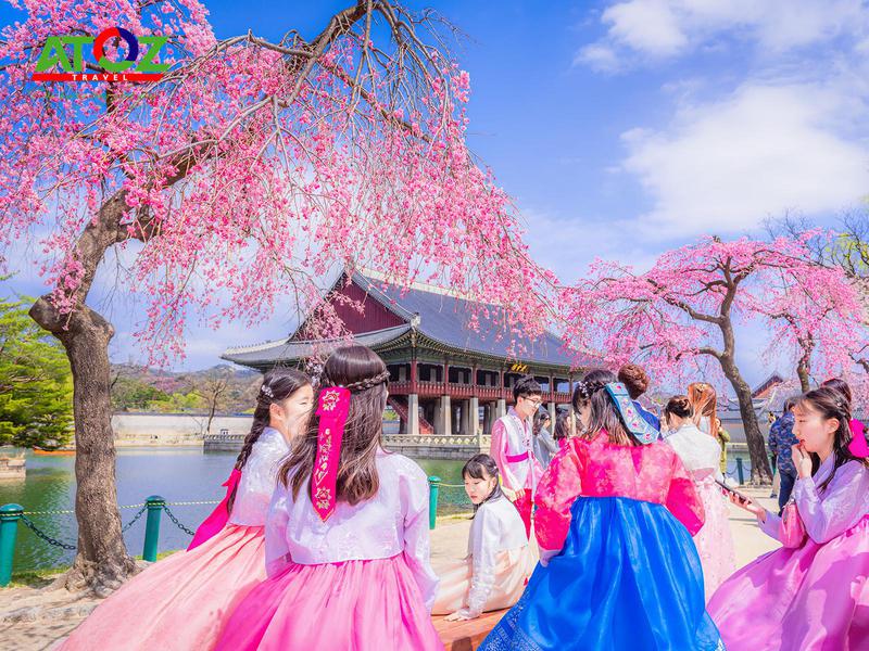 Tour Hàn Quốc mùa hoa anh đào: Seoul - Đảo Nami - Everland - Tháp Nam San