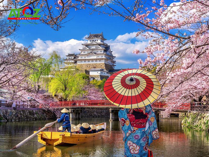 Tour Nhật Bản mùa hoa anh đào: Ibaraki – Yamanashi – Tokyo