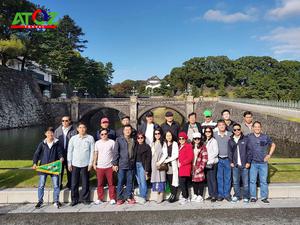 Tour Nhật Bản Cung Đường Vàng Mùa Hoa Anh Đào: Tokyo – Yamanashi – Fuji – Nagoya – Osaka – Kobe