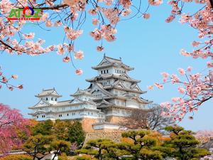 Tour Nhật Bản Cung Đường Vàng Mùa Hoa Anh Đào: Tokyo – Yamanashi – Fuji – Nagoya – Osaka – Kobe