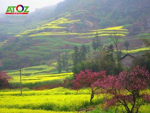 La Bình địa điểm không thể bỏ qua khi du lịch Trung Quốc vào mùa xuân