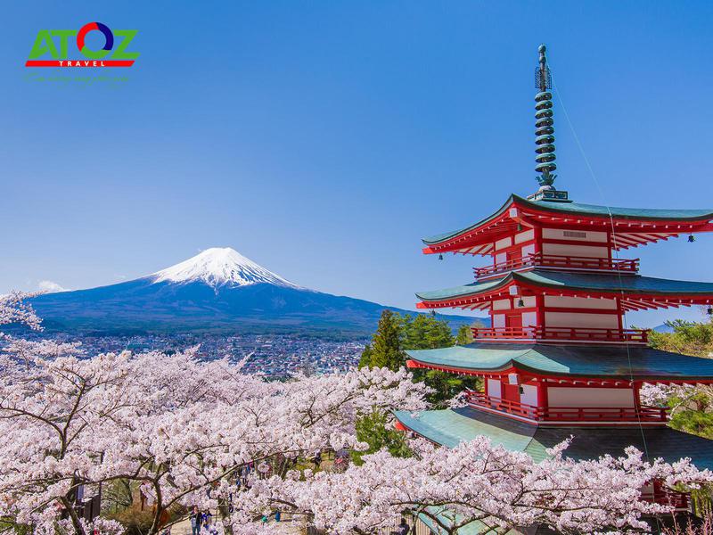 Tour Nhật Bản Cung Đường Vàng Mùa Hoa Anh Đào: Osaka – Nara – Kyoto – Toyohashi – Yamanashi - Tokyo