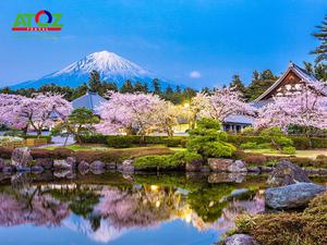 Tour Nhật Bản Cung Đường Vàng Mùa Hoa Anh Đào: Osaka – Nara – Kyoto – Toyohashi – Yamanashi - Tokyo