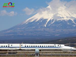 Tour Nhật Bản Cung Đường Vàng Mùa Hoa Anh Đào: Osaka – Nara – Kyoto – Toyohashi – Yamanashi - Tokyo