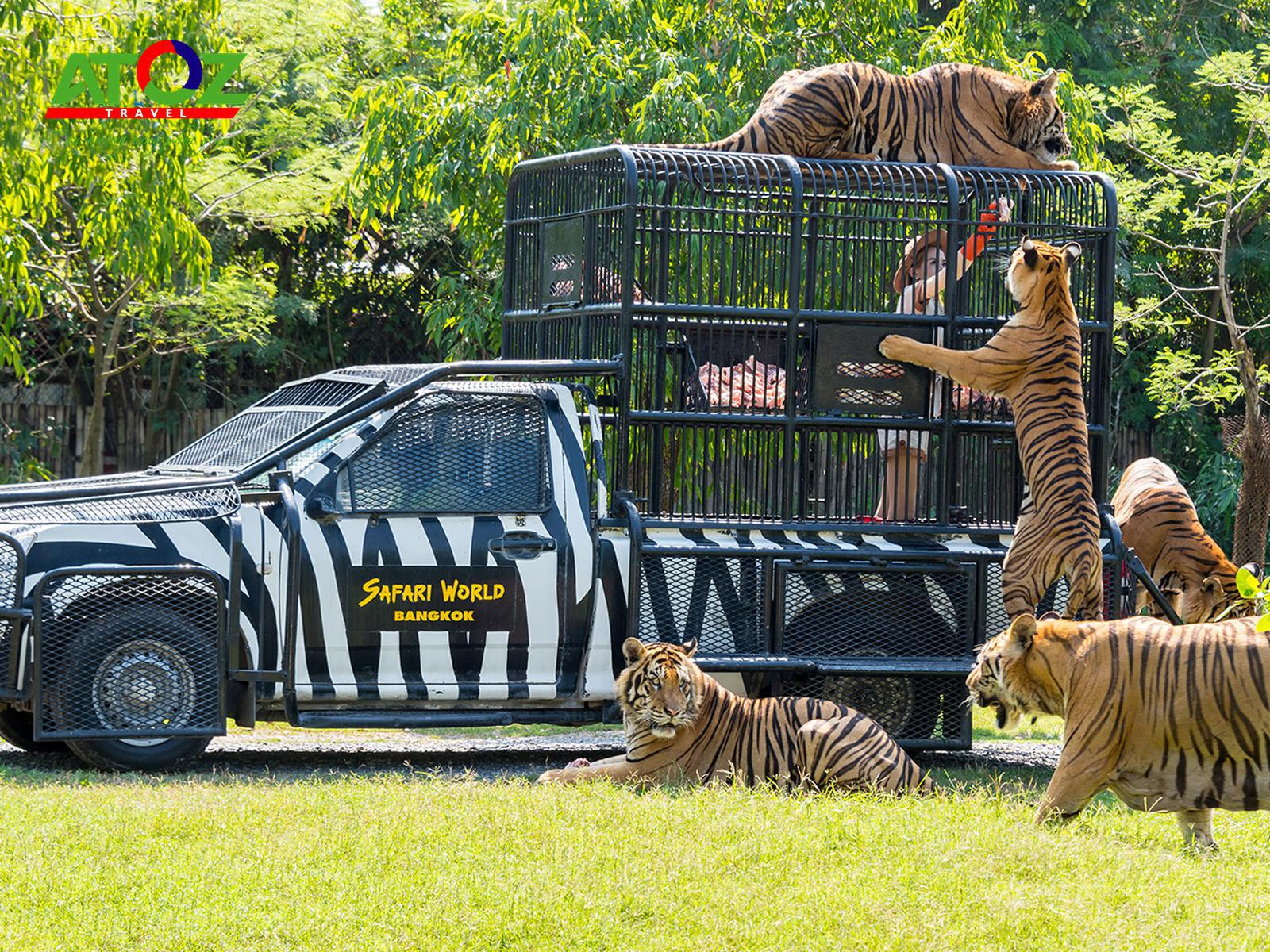 safari-world-thai-lan