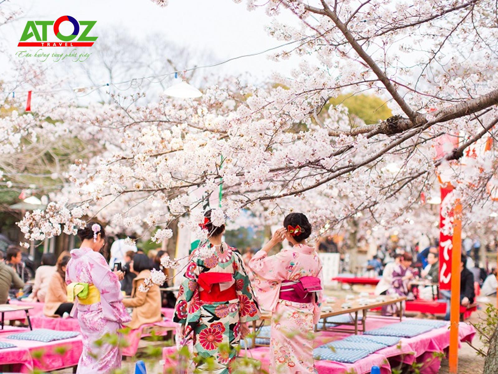 nhung-luu-y-khi-ngam-hoa-anh-dao-mua-cao-diem-tai-nhat-ban-1