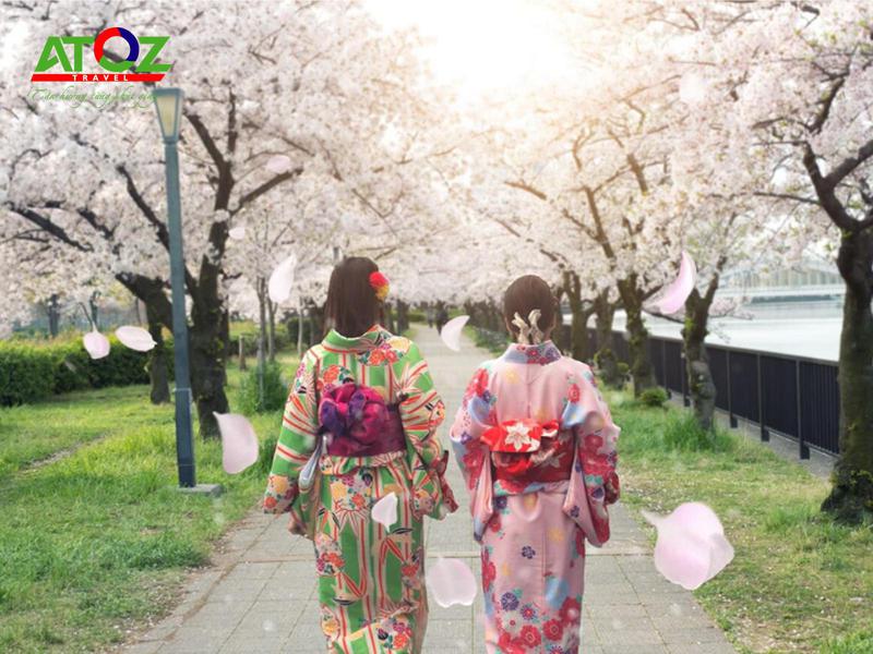 Những lưu ý khi ngắm hoa anh đào mùa cao điểm tại Nhật Bản