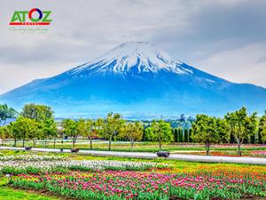 Tour Nhật Bản cung đường vàng mùa hè: Tokyo – Yamanashi – Toyohashi – Kyoto – Osaka – Nara