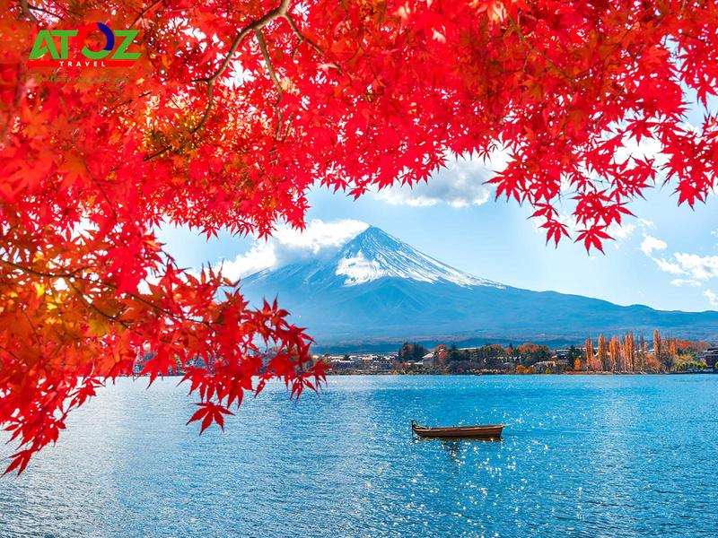 NHẬT BẢN MÙA THU LÁ ĐỎ 2022: YAMANASHI – FUJISAN – TOKYO – NARITA