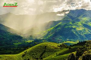 Tour Tây Bắc: TÚ LỆ - MÙ CANG CHẢI - LAI CHÂU - ĐIỆN BIÊN - MỘC CHÂU - MAI CHÂU 5 ngày 4 đêm