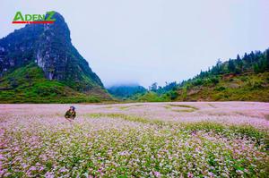 Tour du lịch Đông Bắc 5 ngày 4 đêm: HÀ GIANG – CAO BẰNG – LẠNG SƠN