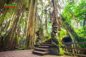 Top 5 địa danh nổi tiếng nhất ở Indonesia