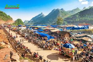 Tour du lịch HÀ GIANG – LÀO CAI 2022: HOÀNG SU PHÌ – CỐC PÀI – SI MA CAI – BẮC HÀ MÙA LÚA CHÍN