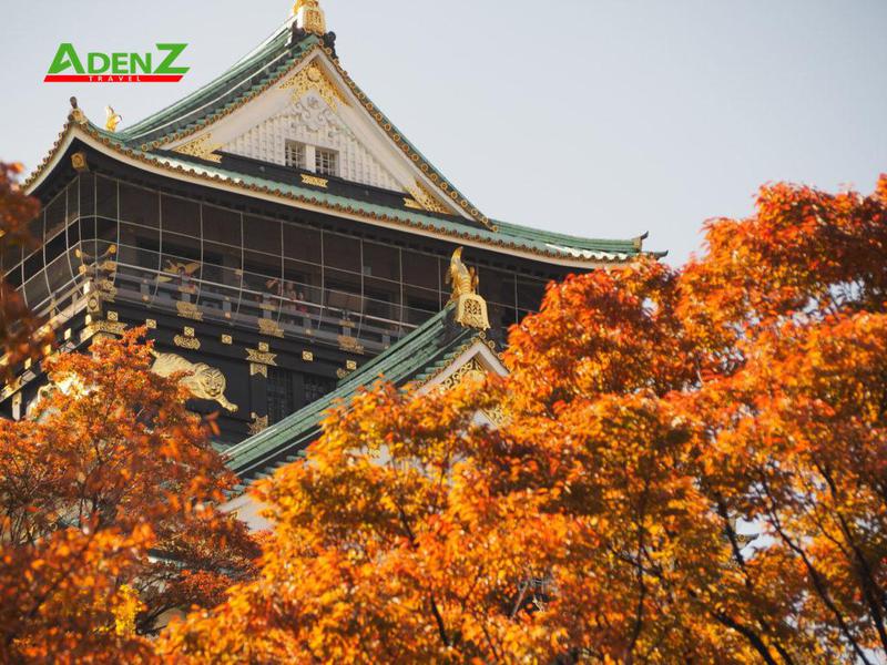 Tour NHẬT BẢN MÙA THU LÁ ĐỎ 2023: Cung đường Vàng OSAKA – KOBE – KYOTO – NAGOYA – YAMANASHI – TOKYO 