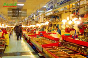 Tour Hàn Quốc tuyến mới Mùa đông- trượt tuyết: Busan - Gimhae - Daegu - Seoul - Đảo Nami