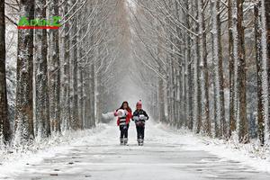 Tour Hàn Quốc tuyến mới Mùa đông- trượt tuyết: Busan - Gimhae - Daegu - Seoul - Đảo Nami