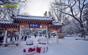 Tour Hàn Quốc tuyến mới Mùa đông- trượt tuyết: Busan - Gimhae - Daegu - Seoul - Đảo Nami