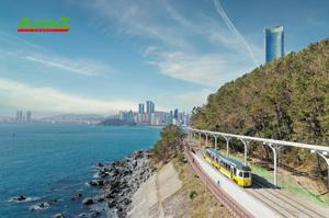 TOUR HÀN QUỐC TUYẾN MỚI TRƯỢT TUYẾT MÙA ĐÔNG 2022: GIMHAE – BUSAN – DAEGU – ĐẢO NAMI – SEOUL