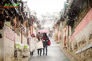 Tour Hàn Quốc mùa hoa anh đào