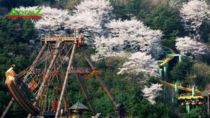 Tour du lịch HÀN QUỐC - VUI CHƠI LỄ 30/04 SEOUL – ĐẢO NAMI – EVERLAND