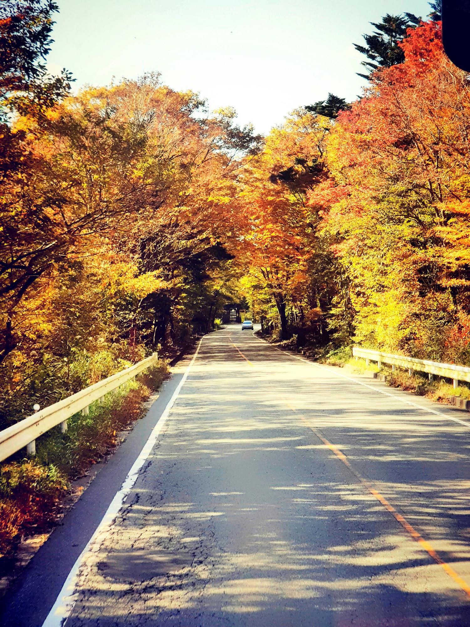 NHẬT BẢN CUNG ĐƯỜNG VÀNG 2023 - MÙA THU LÁ ĐỎ