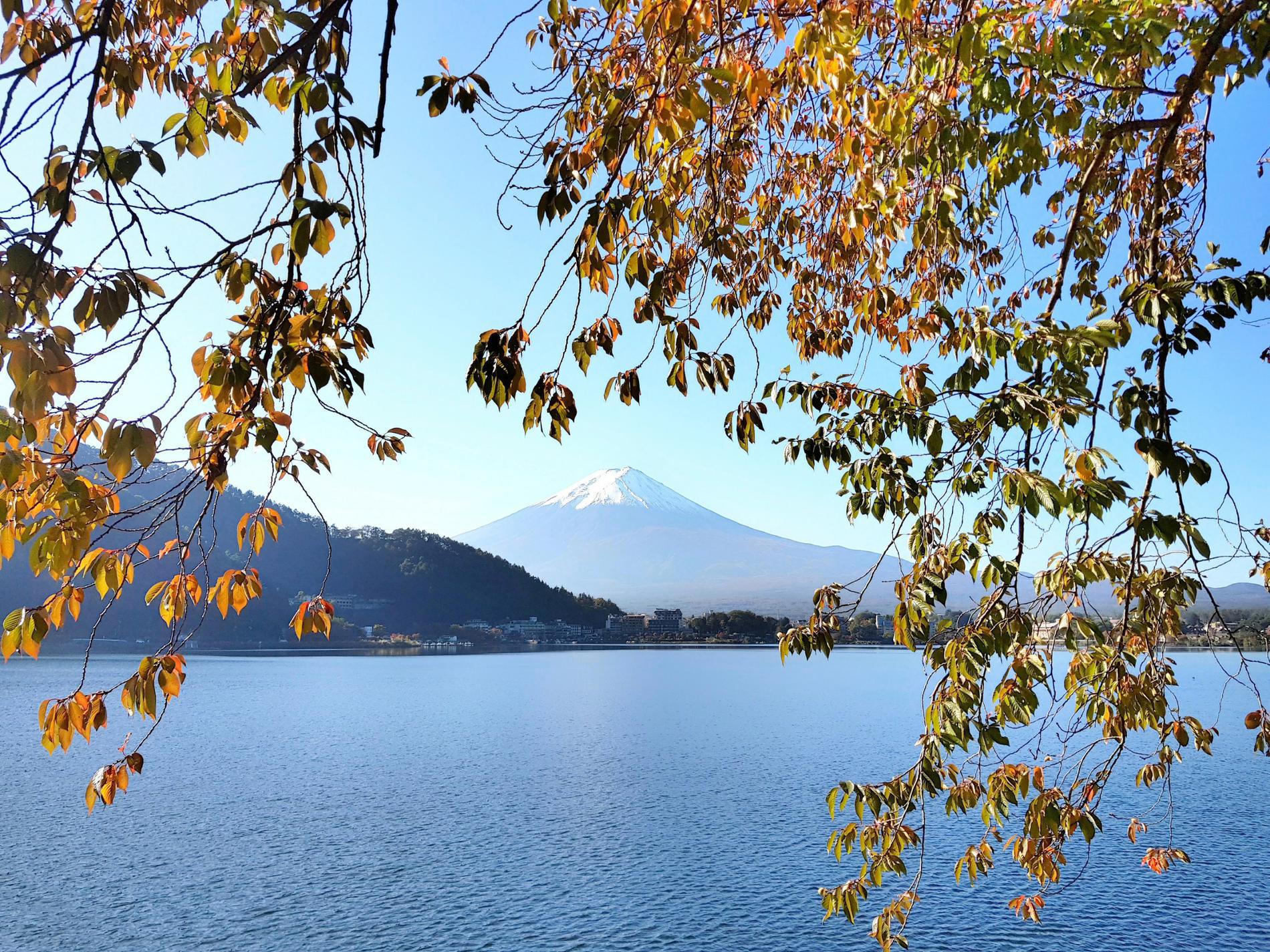 NHẬT BẢN CUNG ĐƯỜNG VÀNG 2023 - MÙA THU LÁ ĐỎ