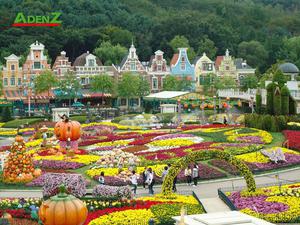 Tour du lịch HÀN QUỐC - KHÁM PHÁ MÙA THU HÀN QUỐC  SEOUL – ĐẢO NAMI – EVERLAND