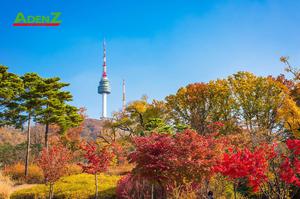 Tour du lịch HÀN QUỐC - KHÁM PHÁ MÙA THU HÀN QUỐC SEOUL – ĐẢO NAMI – EVERLAND
